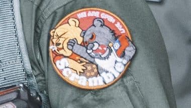 Air Force Patch Shows Formosan Bear Punching Winnie the Pooh Representing China President Xi Jinping, Becomes Hit in Taiwan