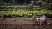 PM Kisan Samman Nidhi Yojana June 2025 Kist Date: When Will Eligible Farmers Recieve 20th Instalment? Know How To Check Beneficiary Status and Online E-KYC Procedure