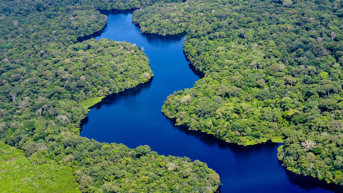 The world’s largest tropical rainforest, teeming with life, mystery, and untamed natural wonder. The world’s largest tropical rainforest, teeming with life, mystery, and untamed natural wonder.