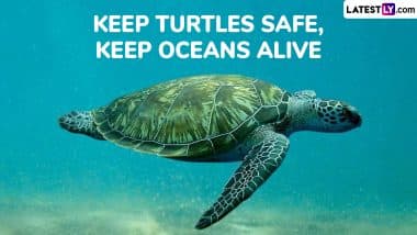 Protect the Shell! World Turtle Day 2025 Quotes, Slogans, Captions and Images To Raise Awareness