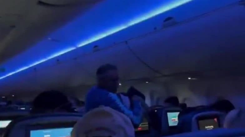 Birds on Board: Delta Airlines Flight Delayed Twice After 2 Pigeons Found Flying Inside Cabin in Minneapolis, Video Goes Viral