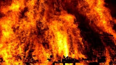 Delhi Fire: Blaze Erupts at Factory in DSIDC Bawana’s Sector 2, Video Shows Thick Cloud of Black Smoke Emerging